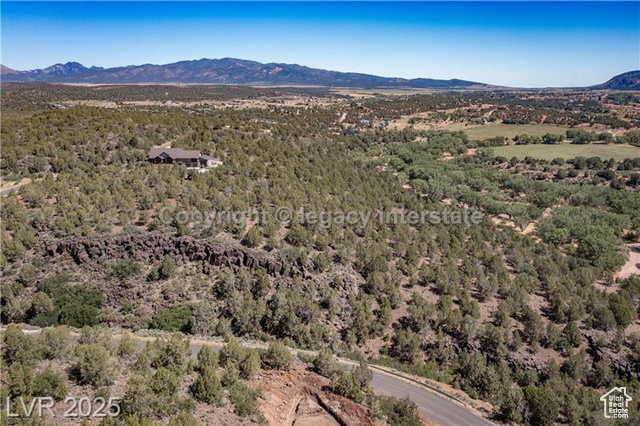 2951 S Juniper Way 241  New Harmony UT 84757 photo