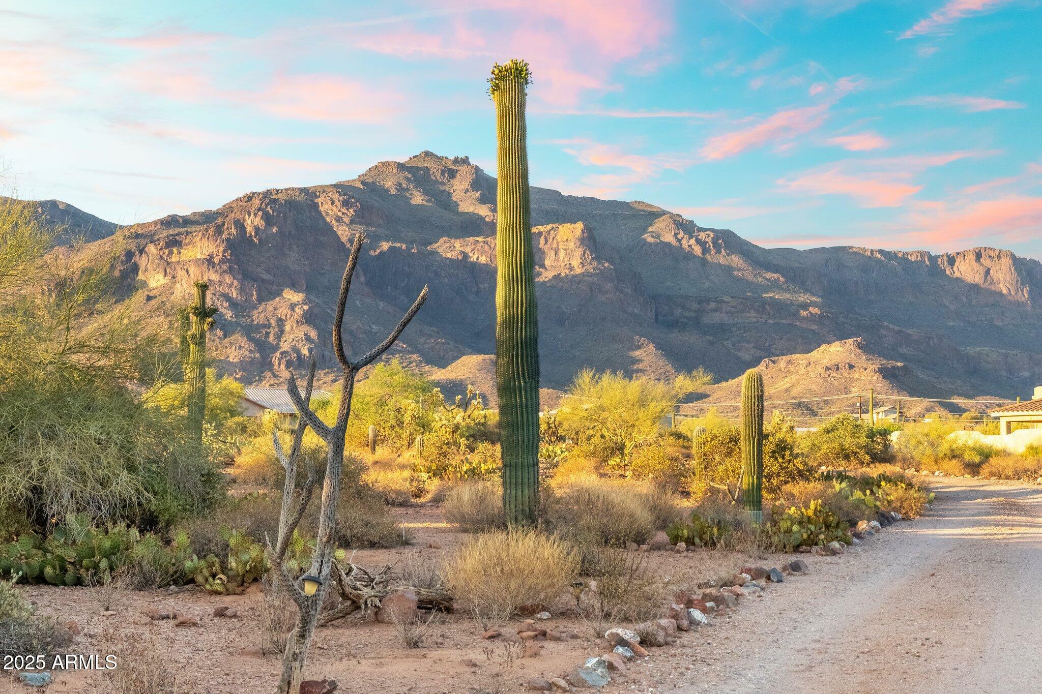 10631 E Cactus View Circle  Gold Canyon AZ 85118 photo