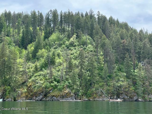 Property Photo: Moscow Bay-Emerald Shore ID 83833