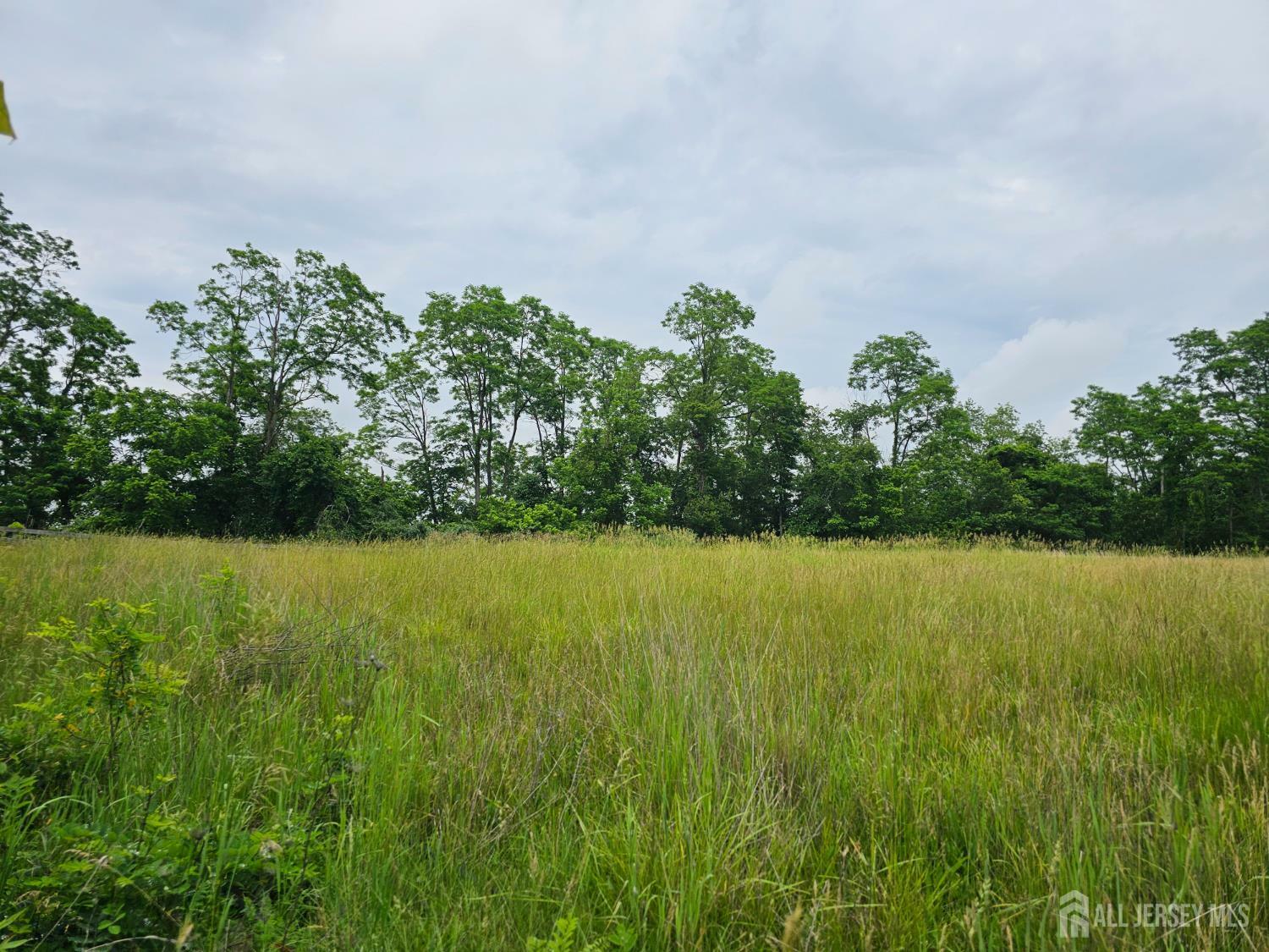 Property Photo:  45 Hill Road  NJ 08501 