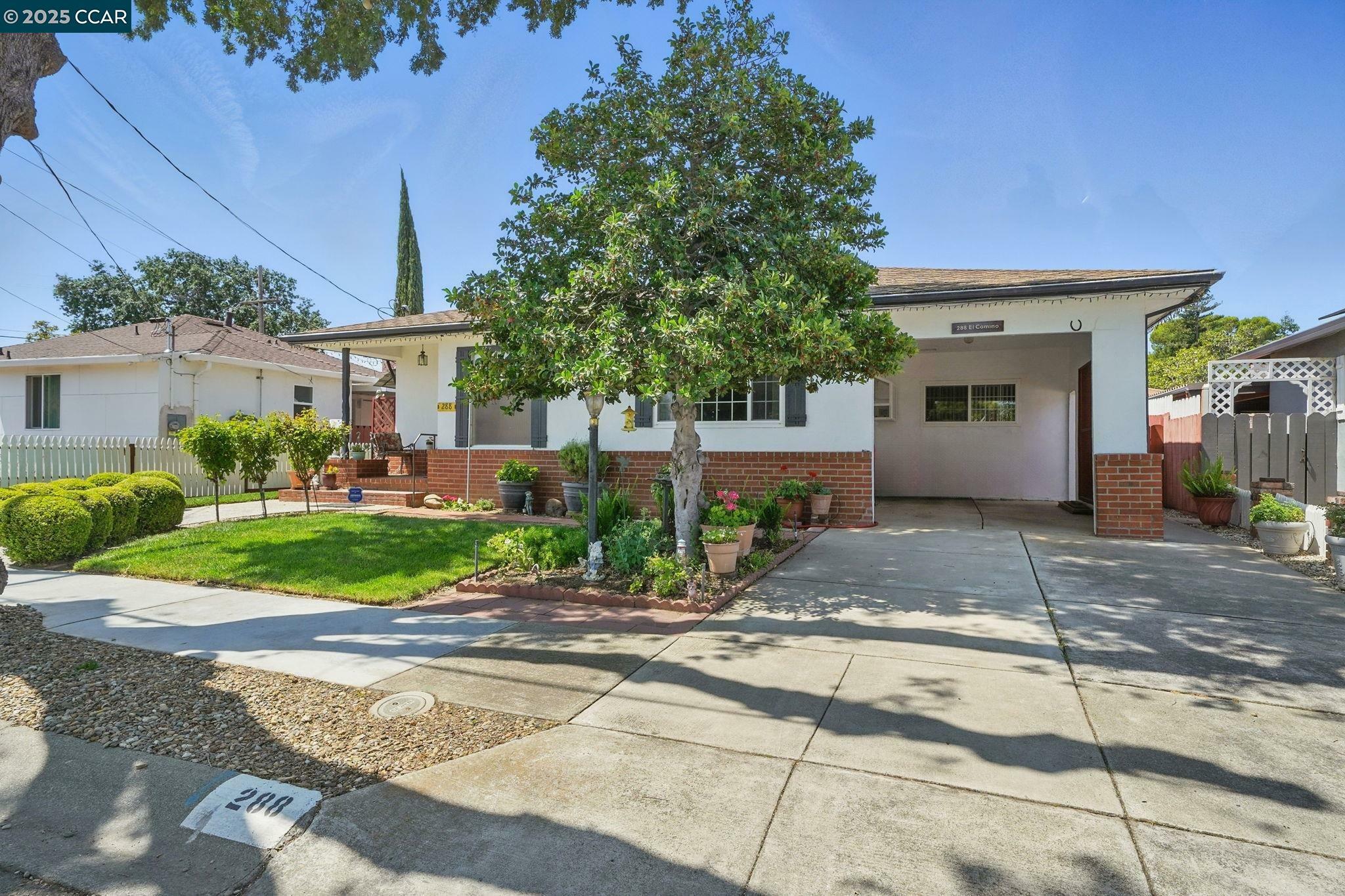 Property Photo: 288 El Camino Dr CA 94565