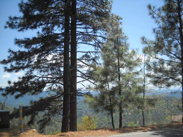 Property Photo:  1202 Heather Drive  CA 95247 