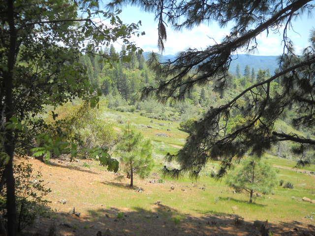 Property Photo: 1202 Heather Drive CA 95247