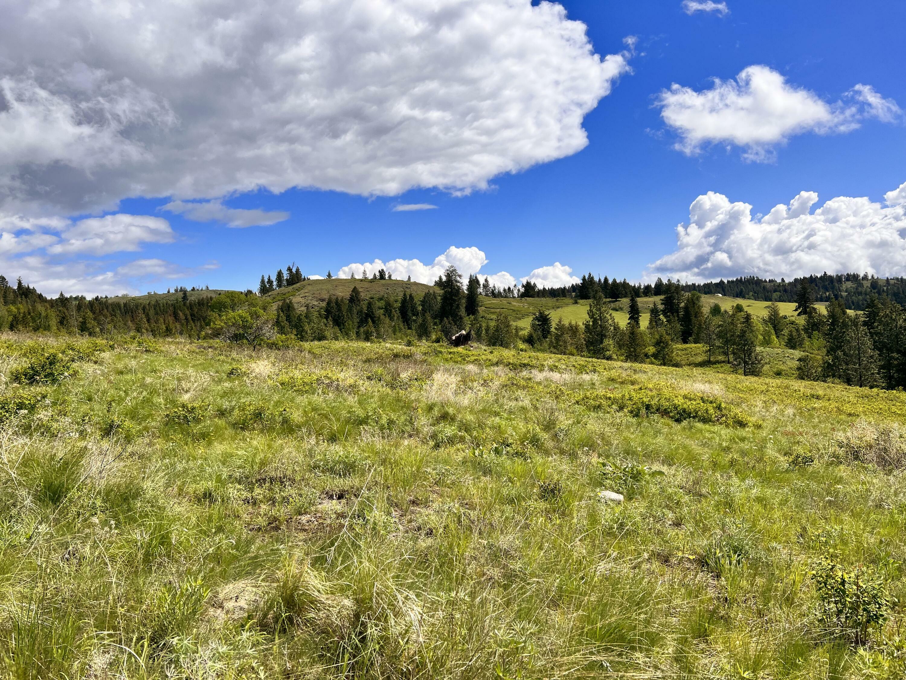 Property Photo: 27 Moonlight Dr WA 99118