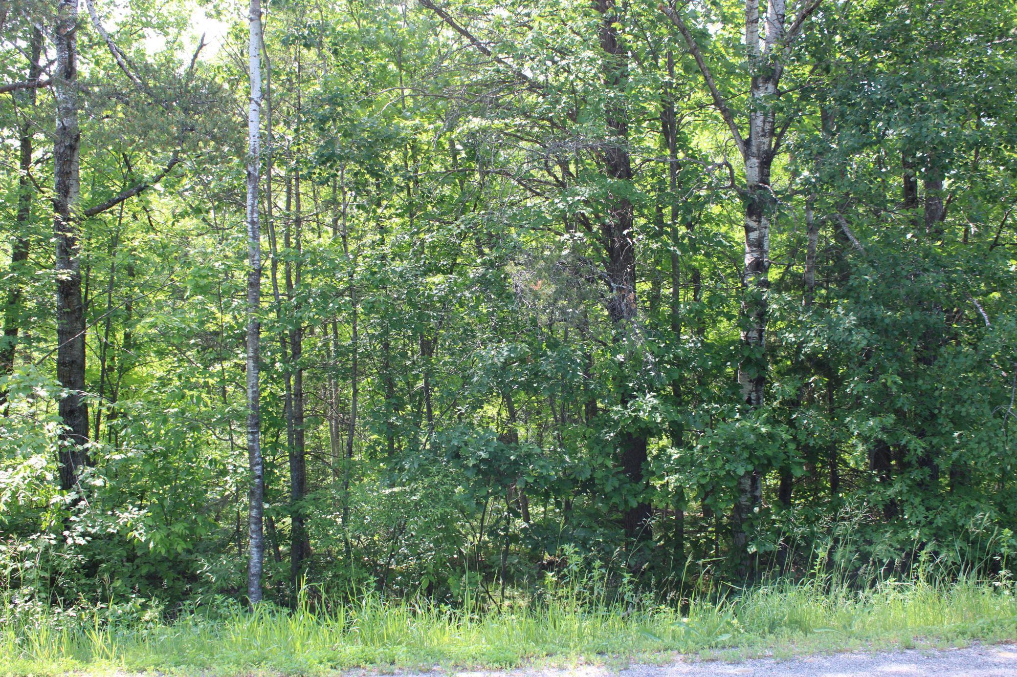 Property Photo: Tbd Centerline Road NW MN 56678