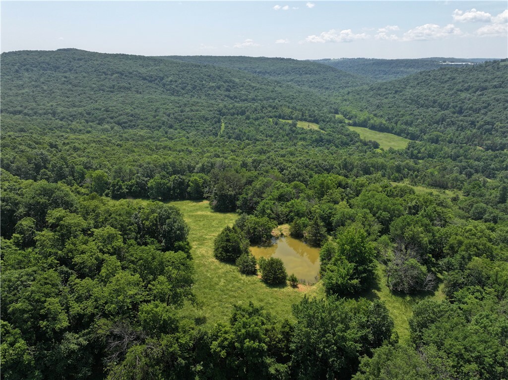 Tbd Madison 2700  Kingston AR 72742 photo