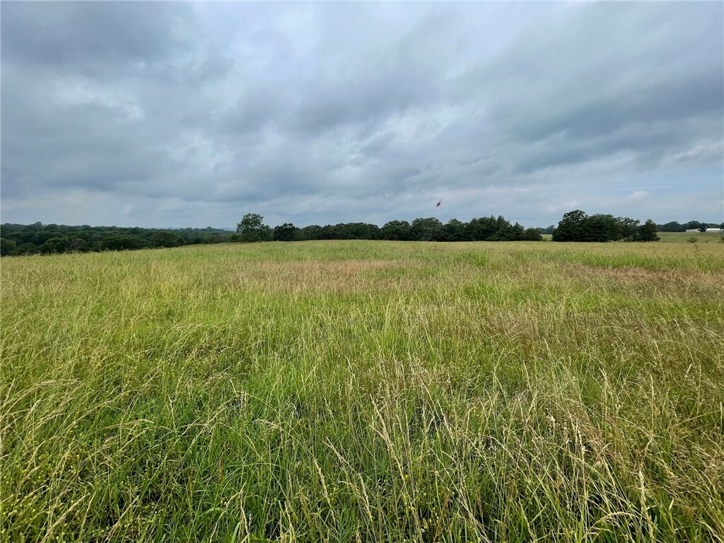 Property Photo:  Ar 21 Highway  AR 72616 
