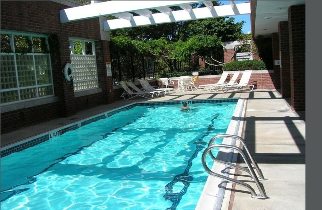 Property Photo: 6 Canal Park 708 MA 02141