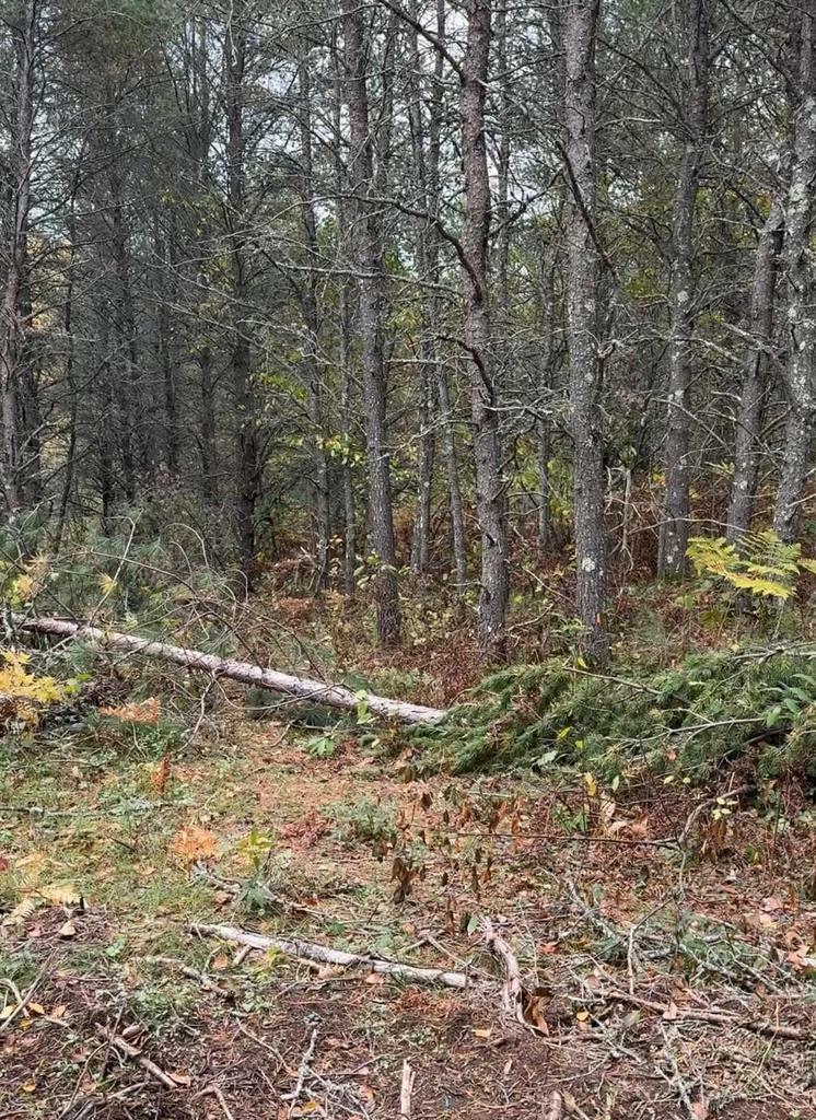 Property Photo: 15 Wood Road WI 54487