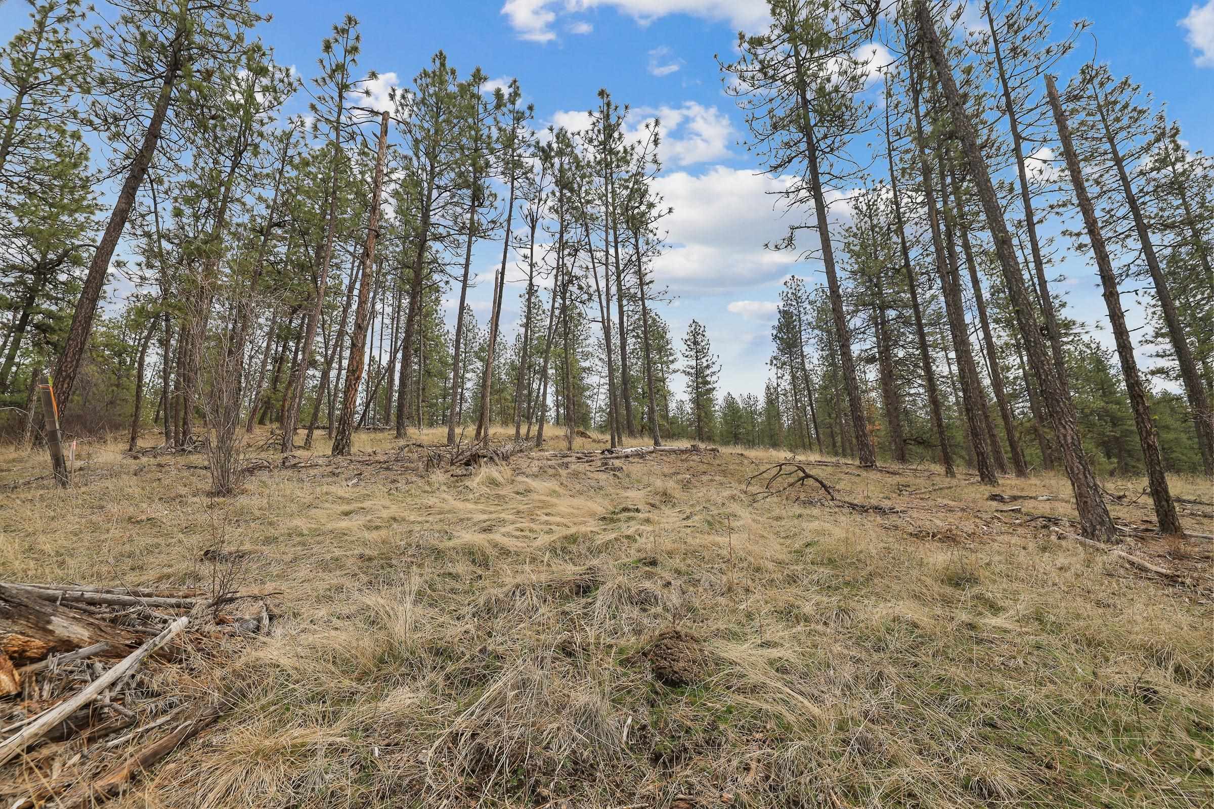 Property Photo: Nka Lower Weaver Way Lot 2 Of Lot 11 WA 99006