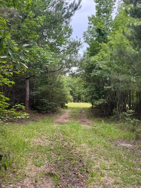 Property Photo: Mw Rickenbaker Rd SC 29148
