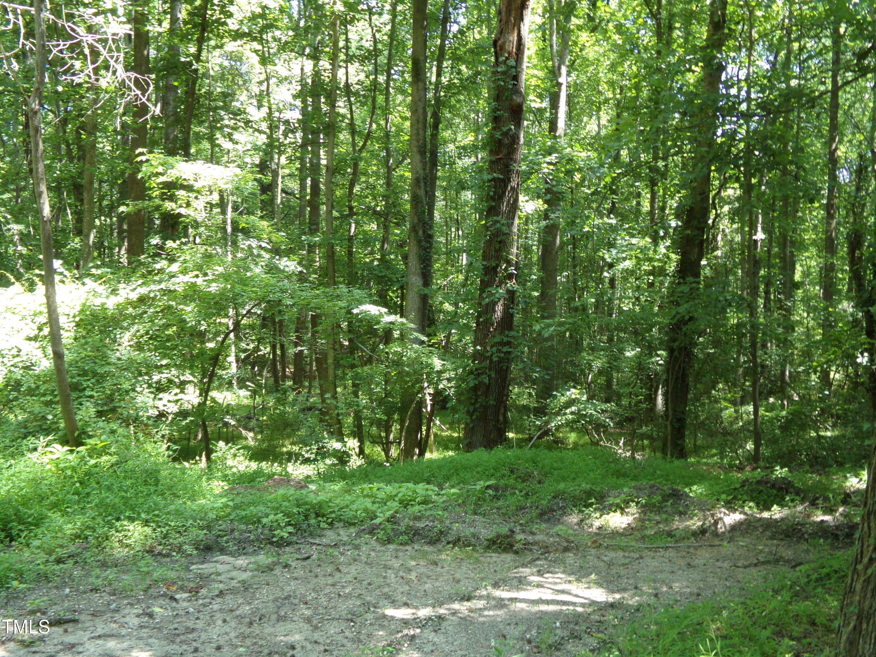 Property Photo: 00 Nc-98 NC 27549