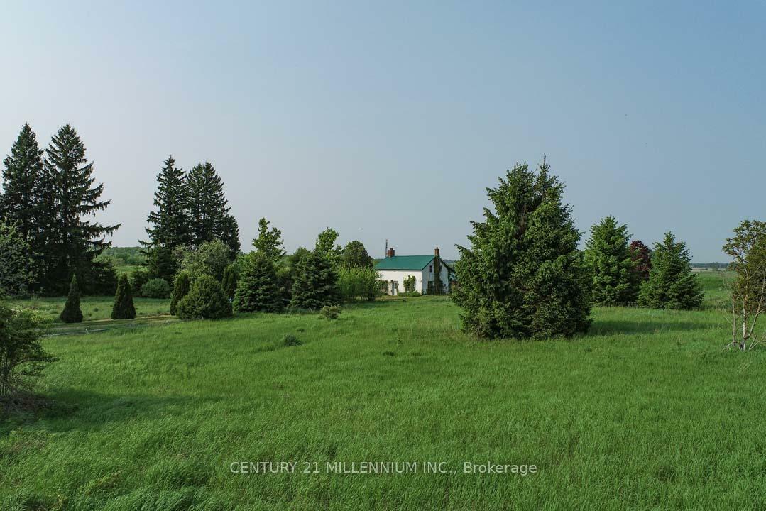 18323 Shaws Creek Road  Caledon ON L7K 1L2 photo