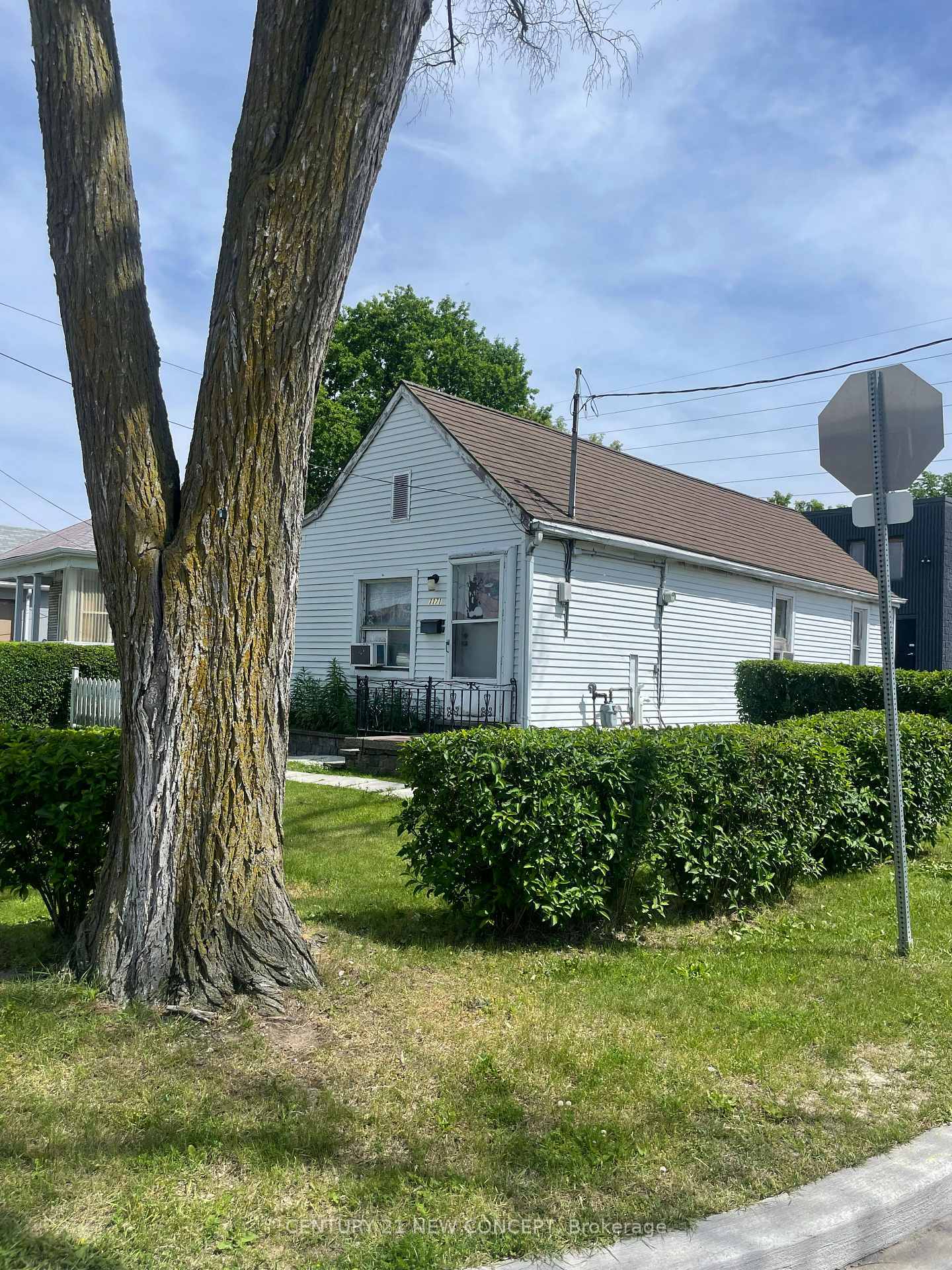 Photo de la propriété: 1171 Roselawn Avenue ON M6B 1C5