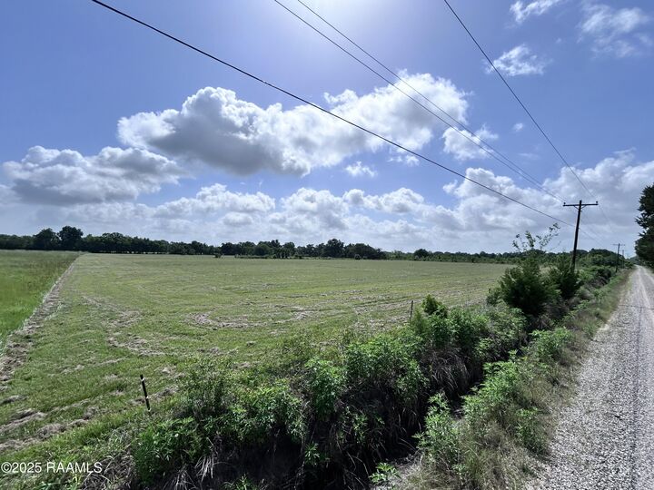 Property Photo:  Tbd Sonnier Road 3-C  LA 70525 