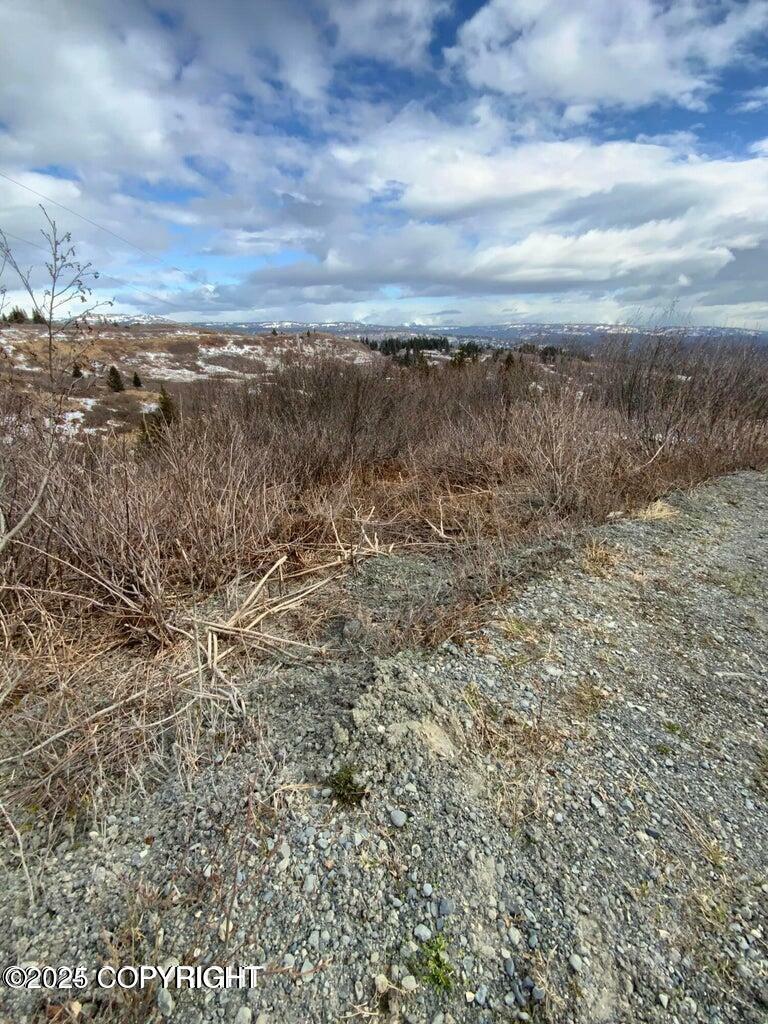 Property Photo: 36680 Fox Road AK 99556