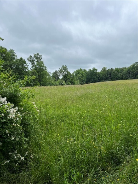 Property Photo:  0 County Road 23  NY 14891 