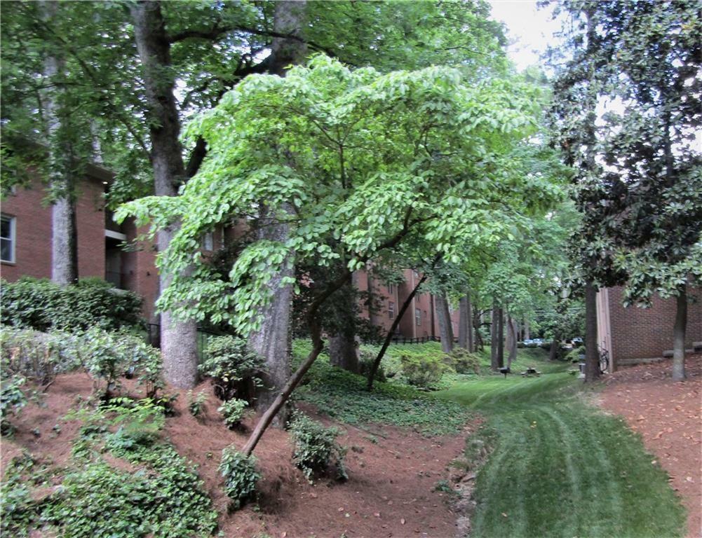 Property Photo: 1131 Clairemont Avenue B GA 30030