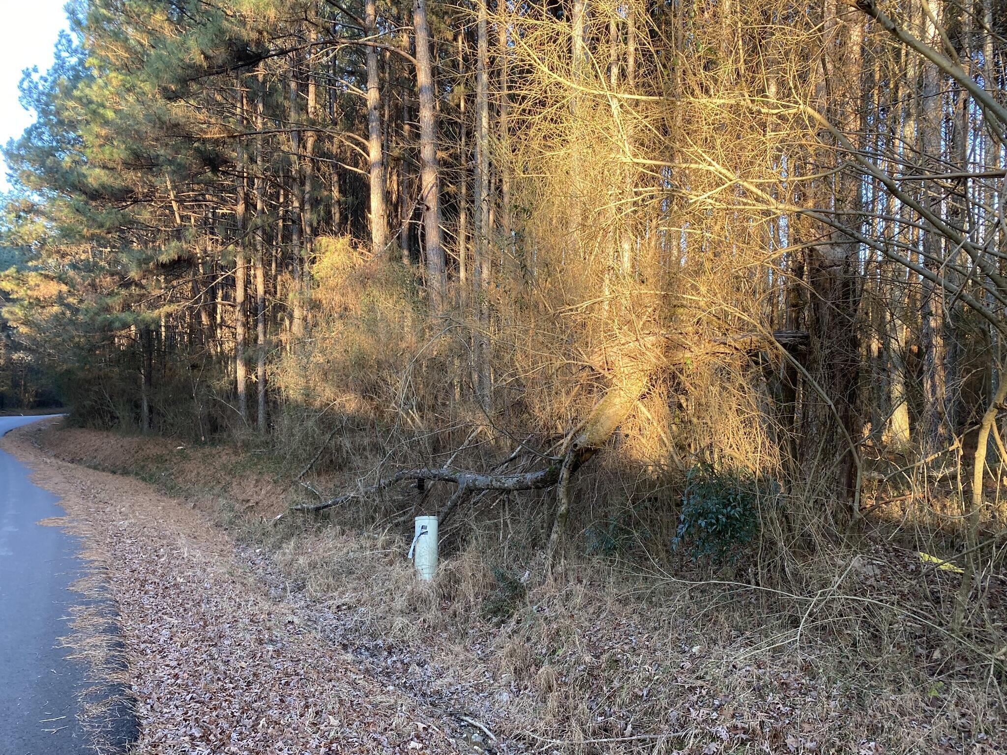 Property Photo: 1645 Billingsley Road TN 37379