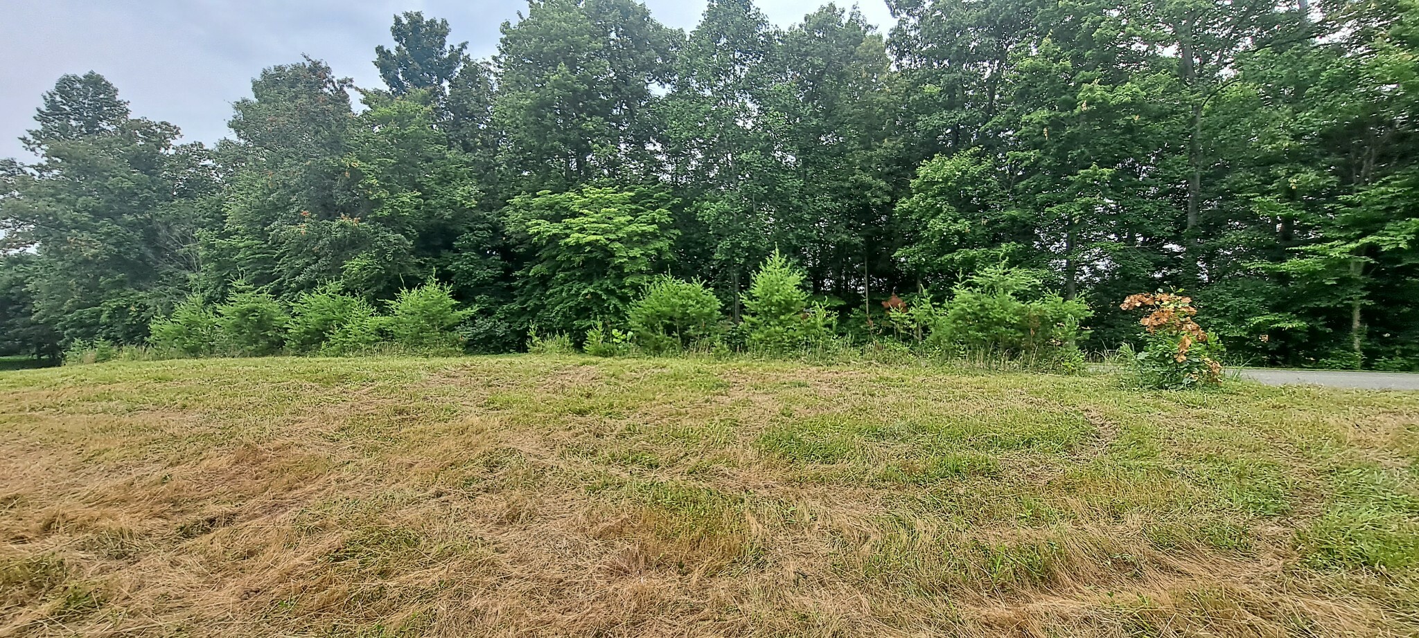 Property Photo: 0 Gaddie Cemetery Road KY 42757
