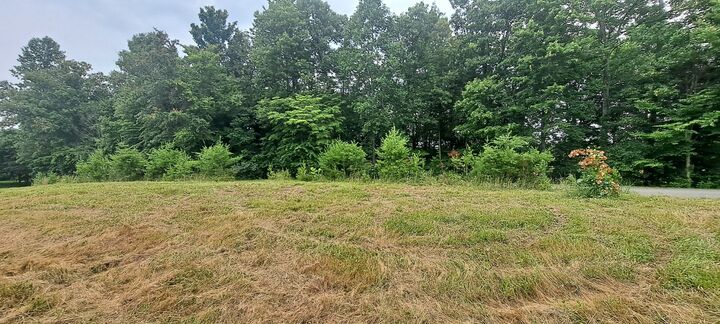 Property Photo:  0 Gaddie Cemetery Road  KY 42757 
