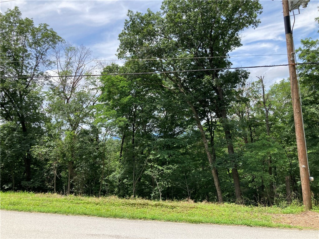 Property Photo: 259 Holiday Island Drive AR 72631