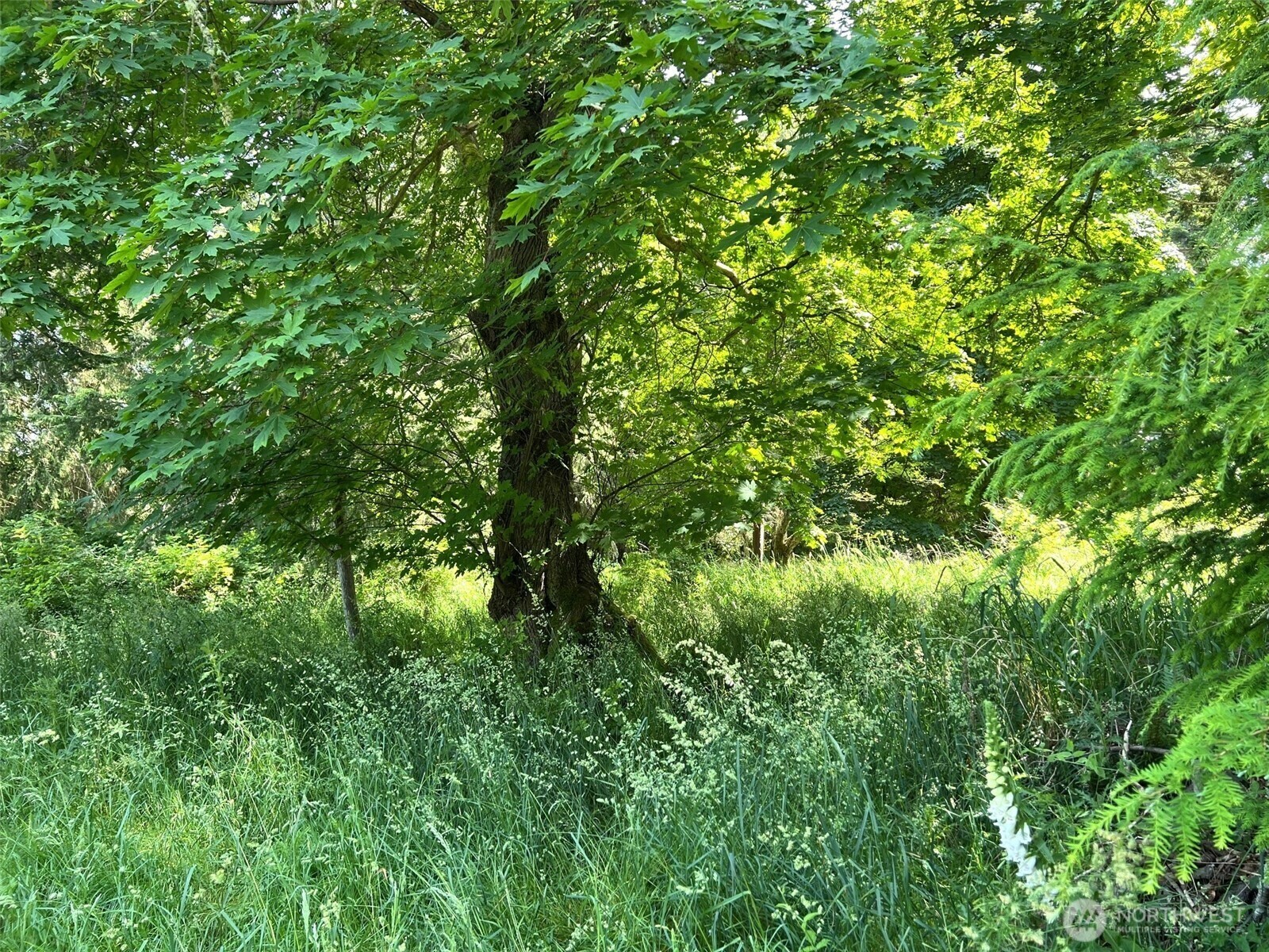Property Photo: 0 Davis Beach Road WA 98221