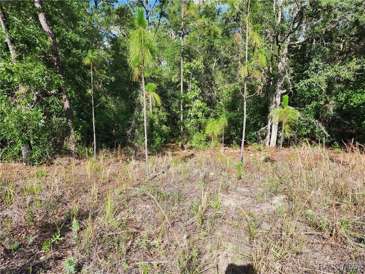 Property Photo:  11107 N Mataro Avenue  FL 34434 