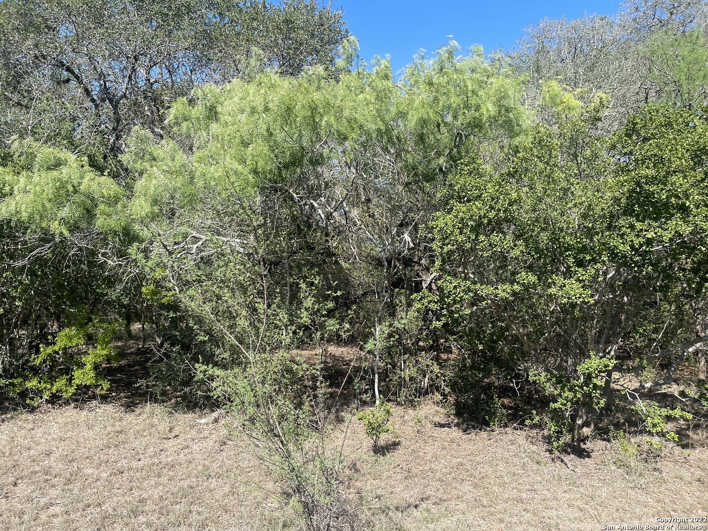 Property Photo:  3626 Old Goliad Rd  TX 77963 