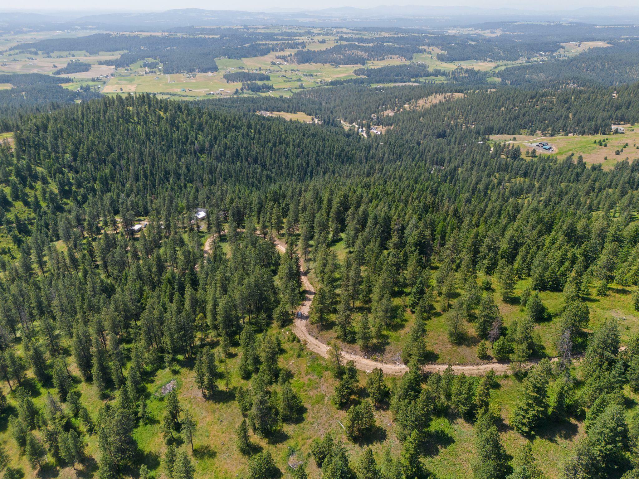 Nna Scribner Branch Rd  Mead WA 99217 photo