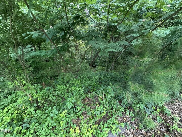 Property Photo: 322 Courtland Drive NC 27501