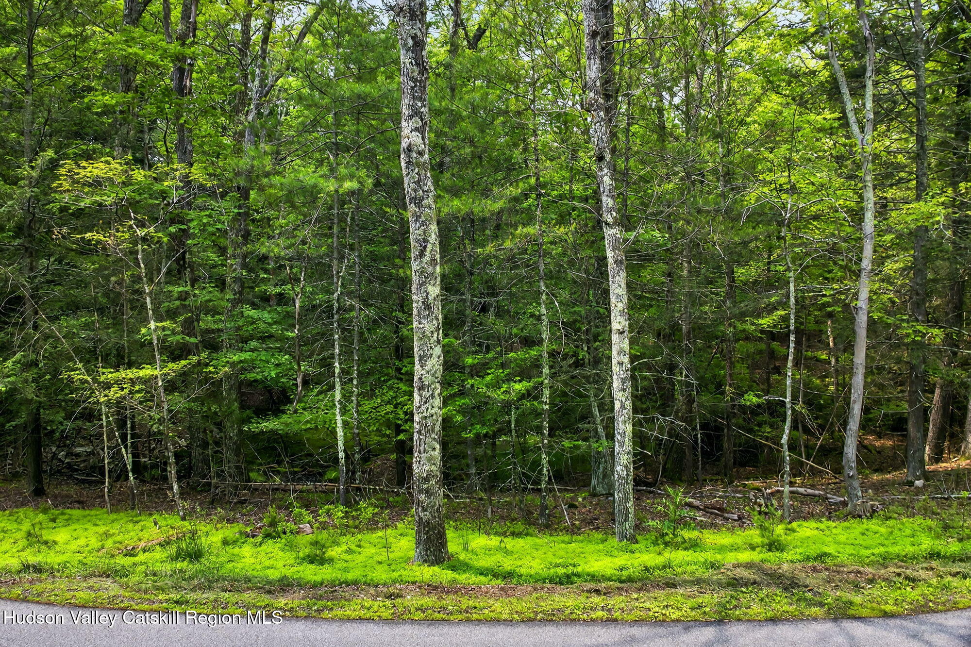 Property Photo: Tbd Dug Hill NY 12443