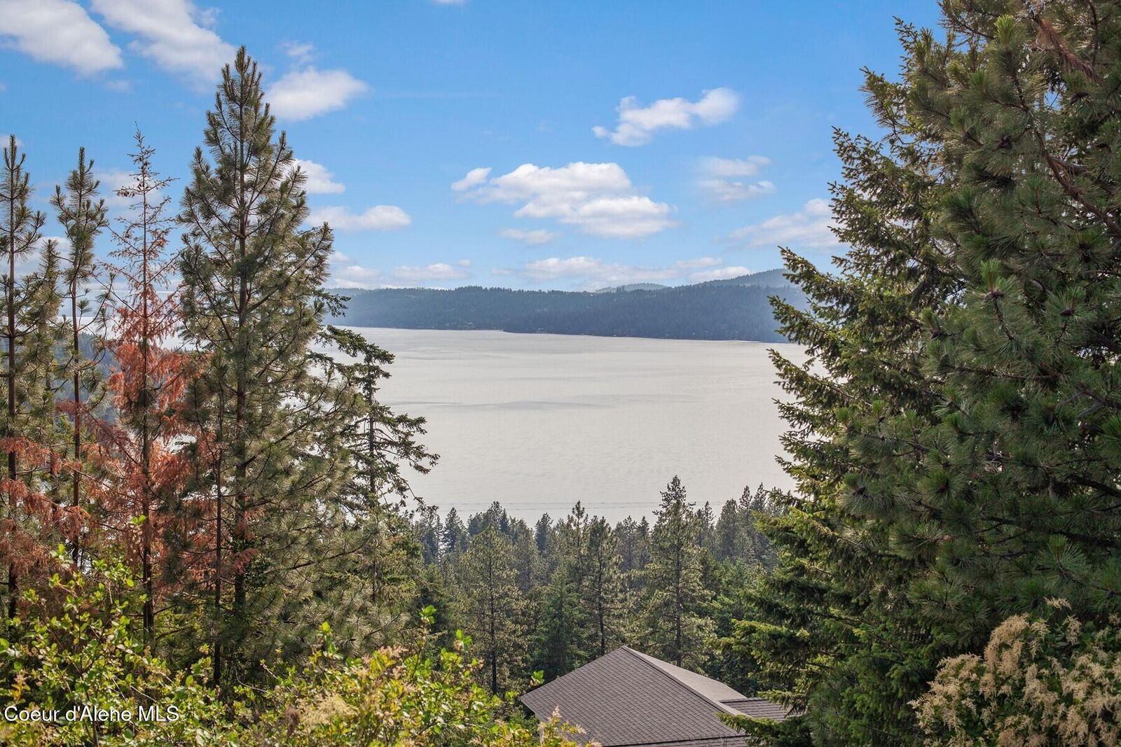 Property Photo:  L2b2 S Hanson Rd  ID 83833 