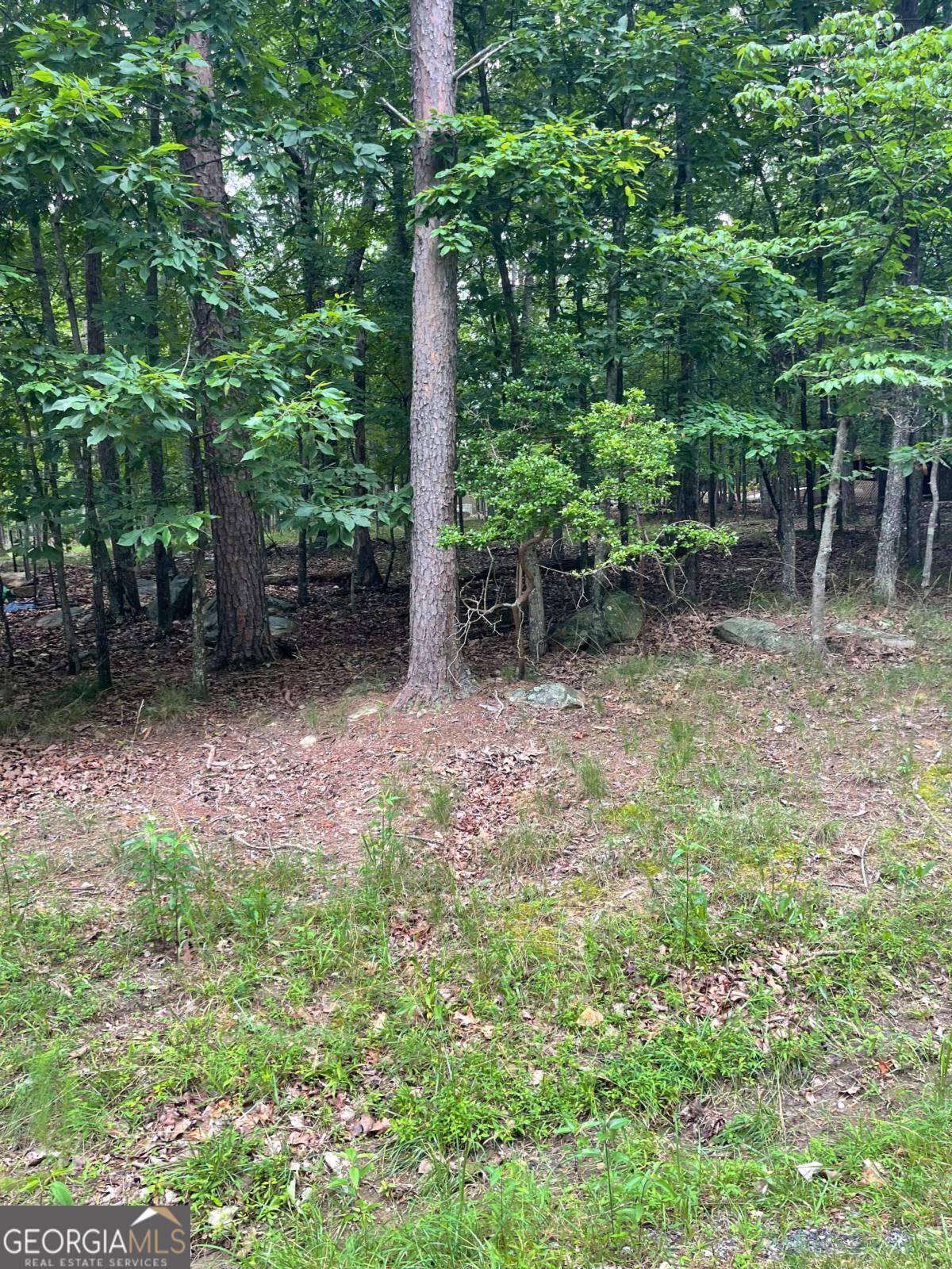 Property Photo: 133 Pawnee Street GA 30183