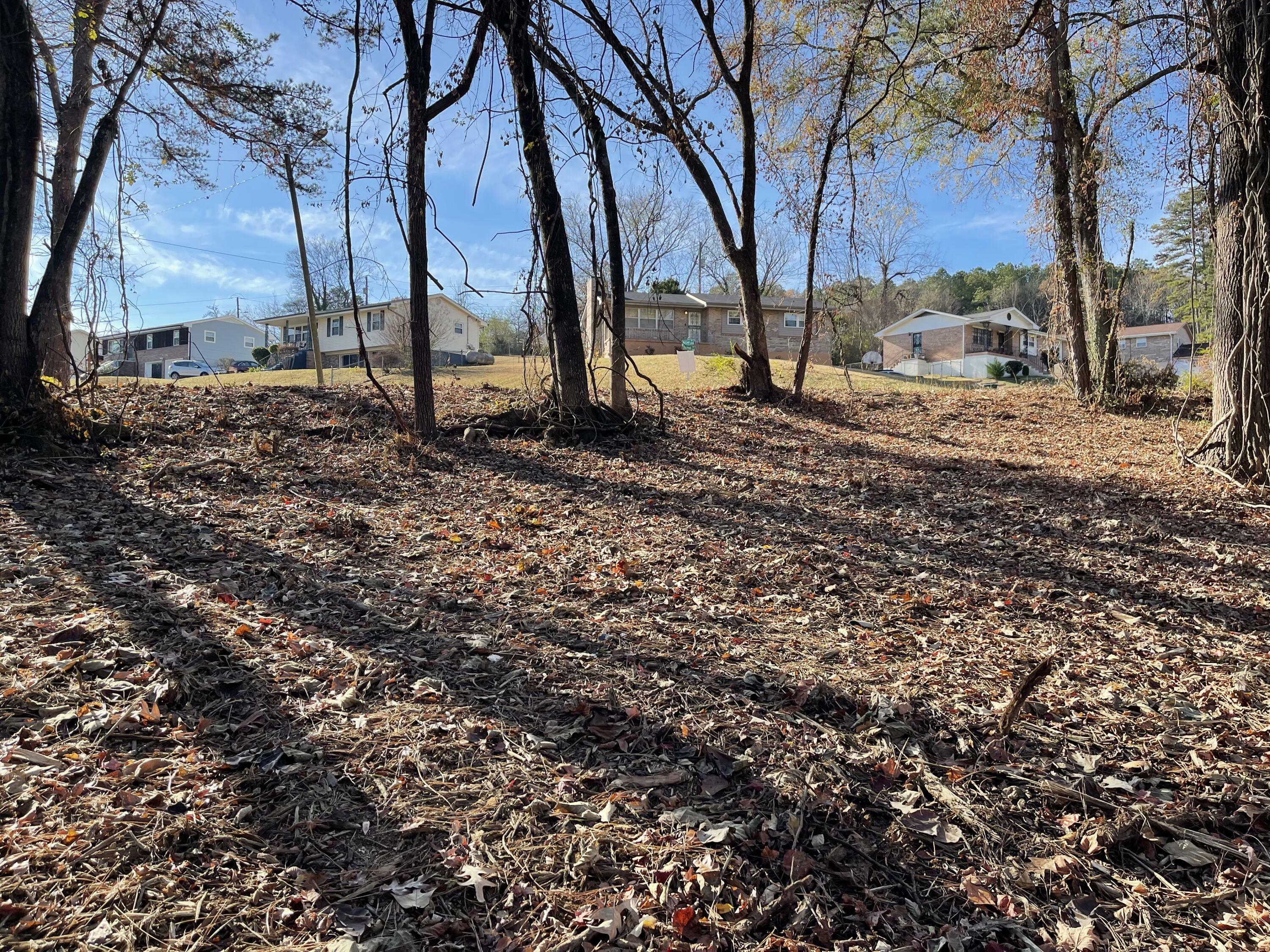 Property Photo:  3713 Shamrock Drive  TN 37406 