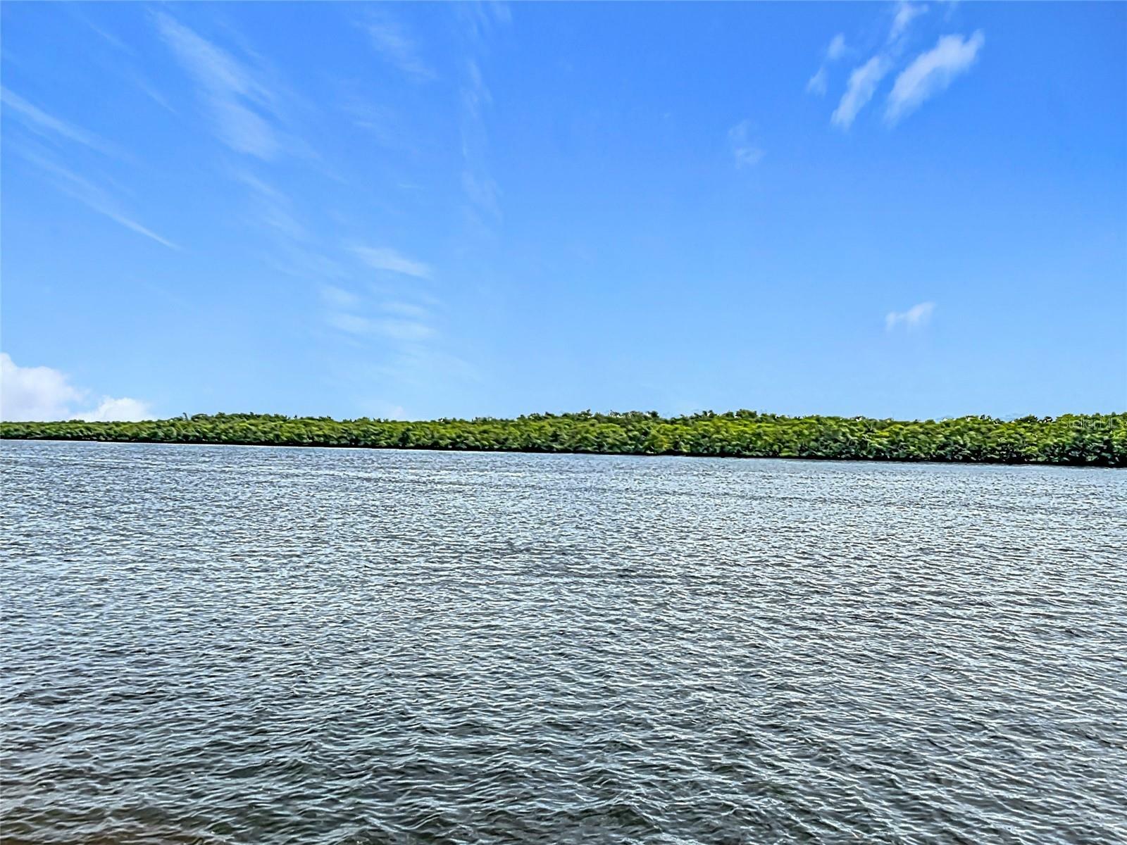 809 Bahia Del Sol Drive 72  Ruskin FL 33570 photo