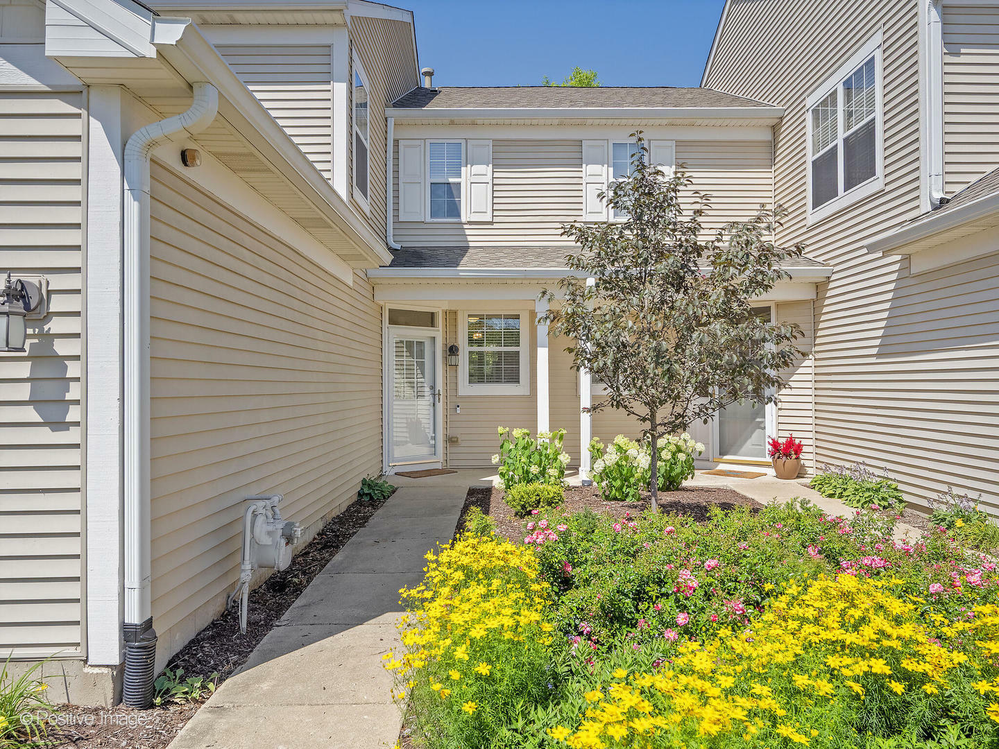 Property Photo:  2855 Vernal Lane  IL 60564 