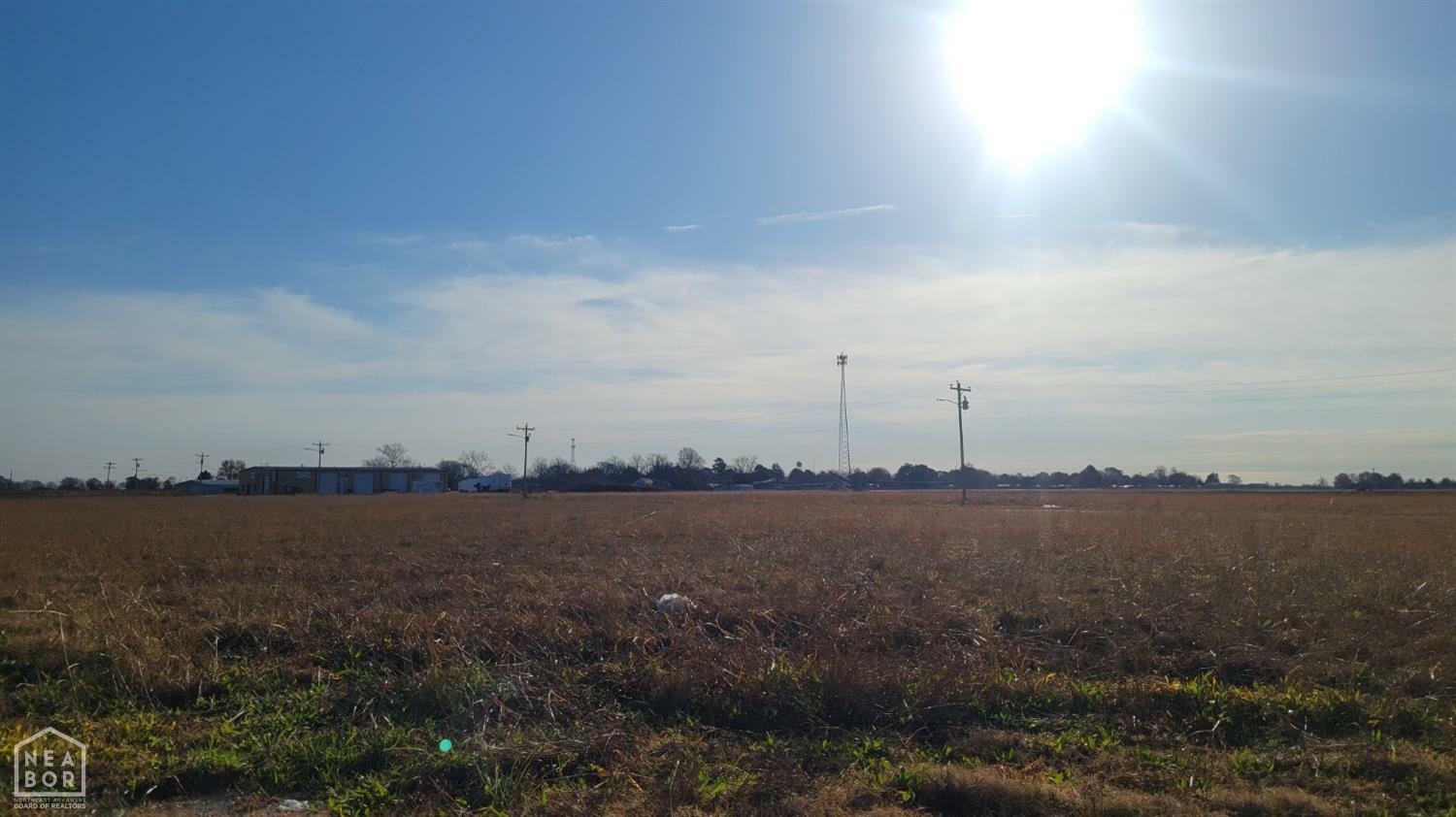 Property Photo: 2 Colony Circle AR 72411