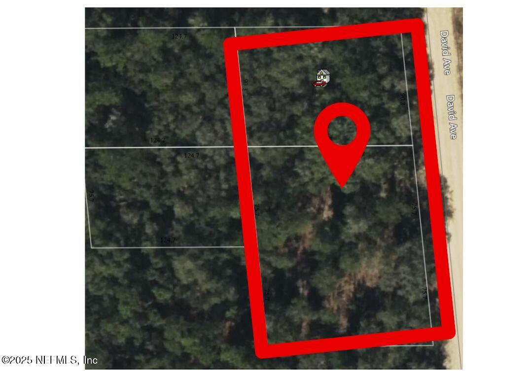 Property Photo: 0 David Avenue FL 32148