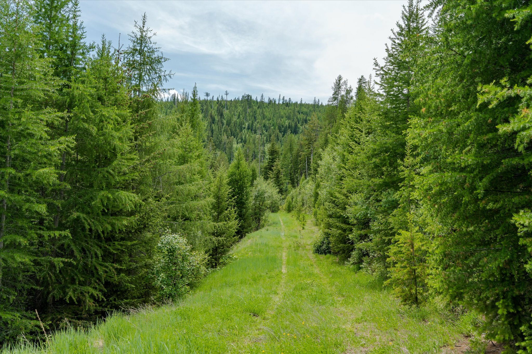 Property Photo: Nhn Fish Creek Road MT 59901