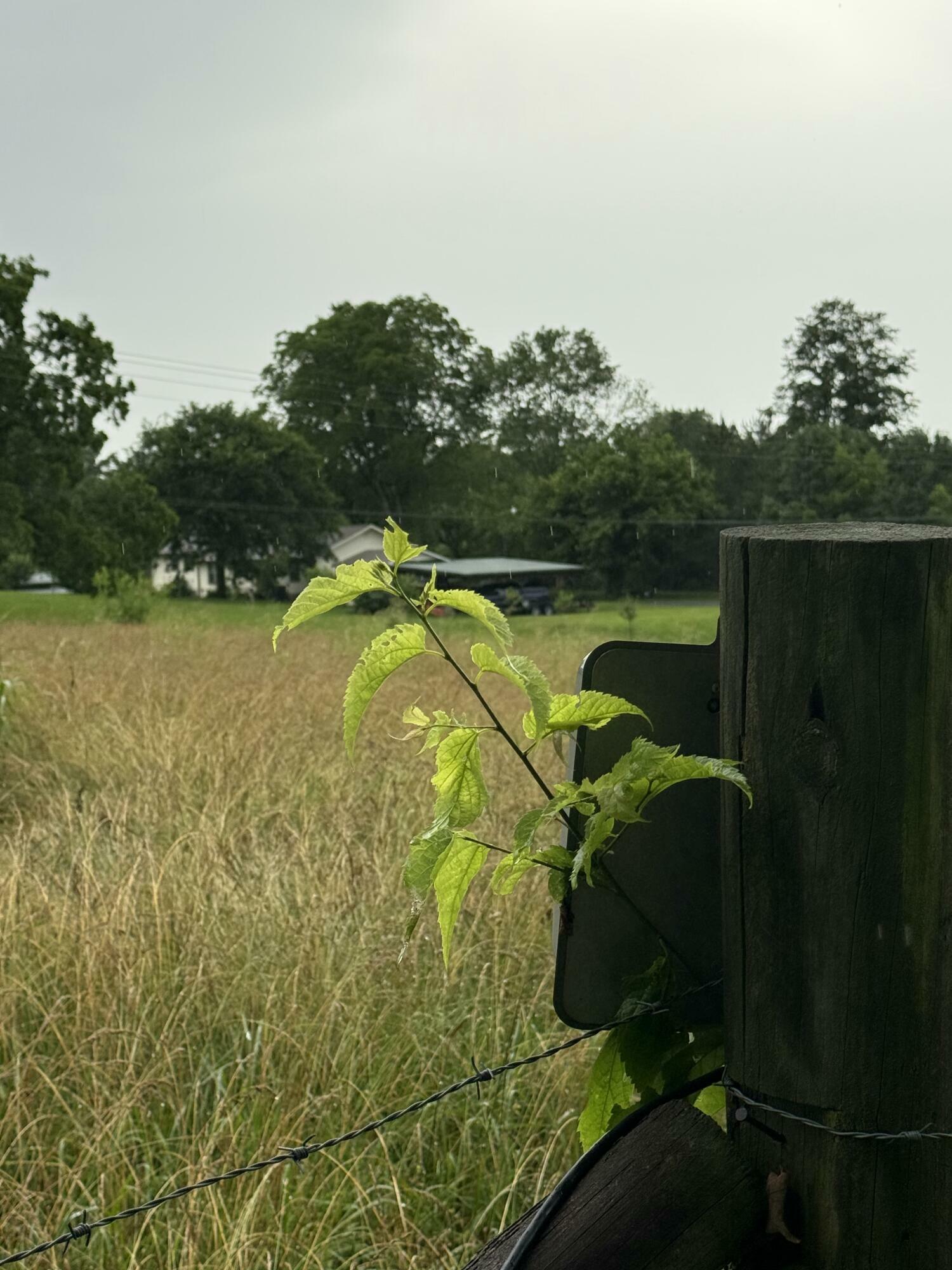 Property Photo: Lot 2, 179 Teague Road TN 37311