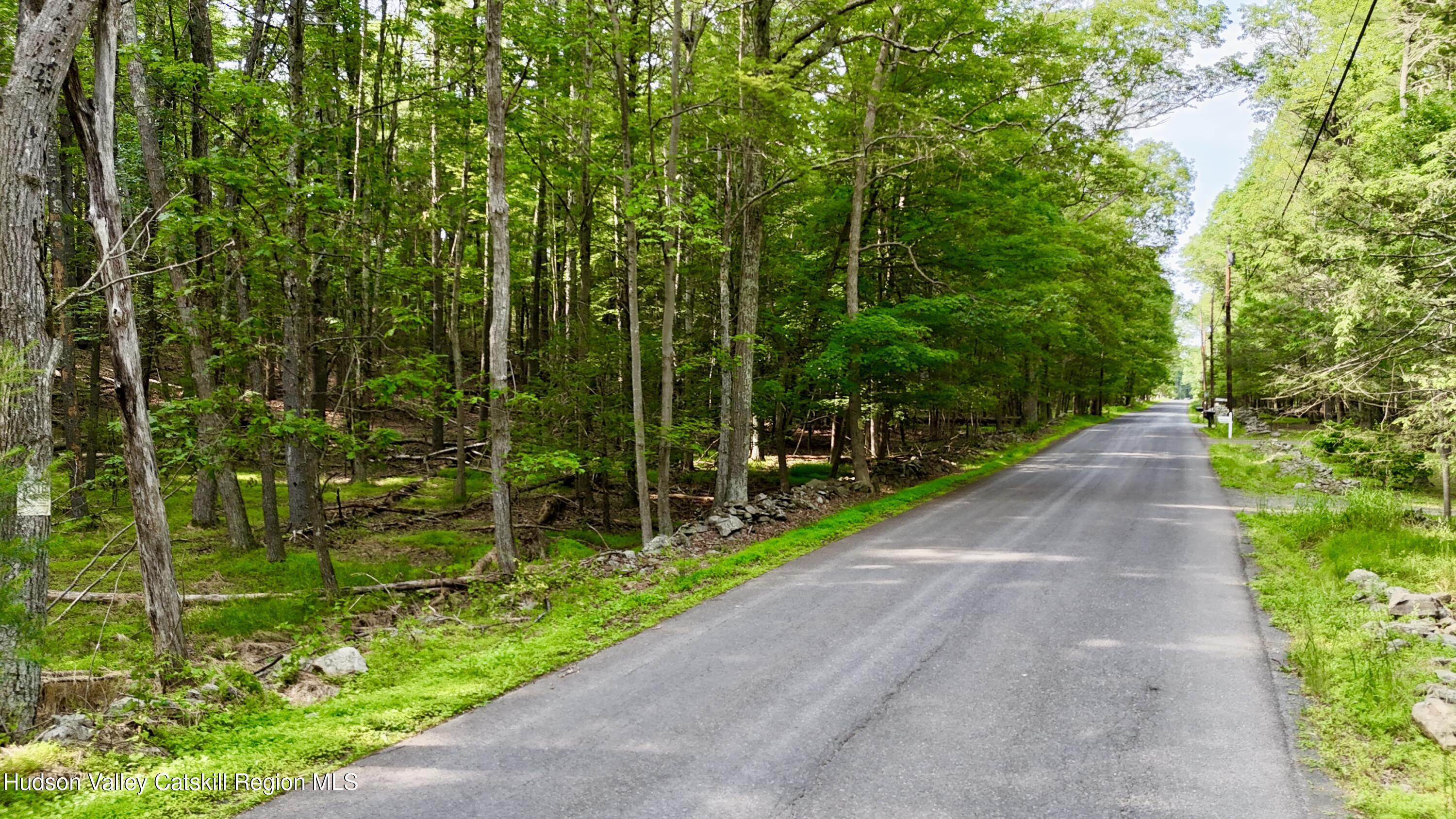 Property Photo: 00 Lot 2 Church Road NY 12409