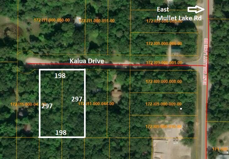 Property Photo: 4593&Amp 4613 Kalua Drive MI 49749