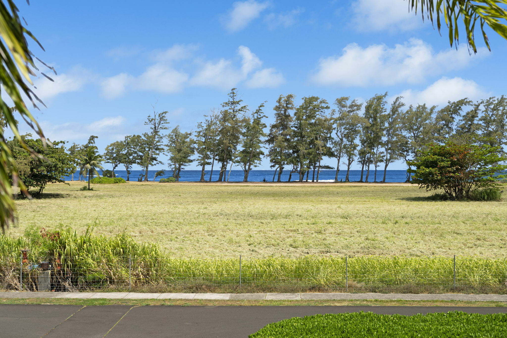 525 Aleka Lp F15  Kapaa HI 96746 photo