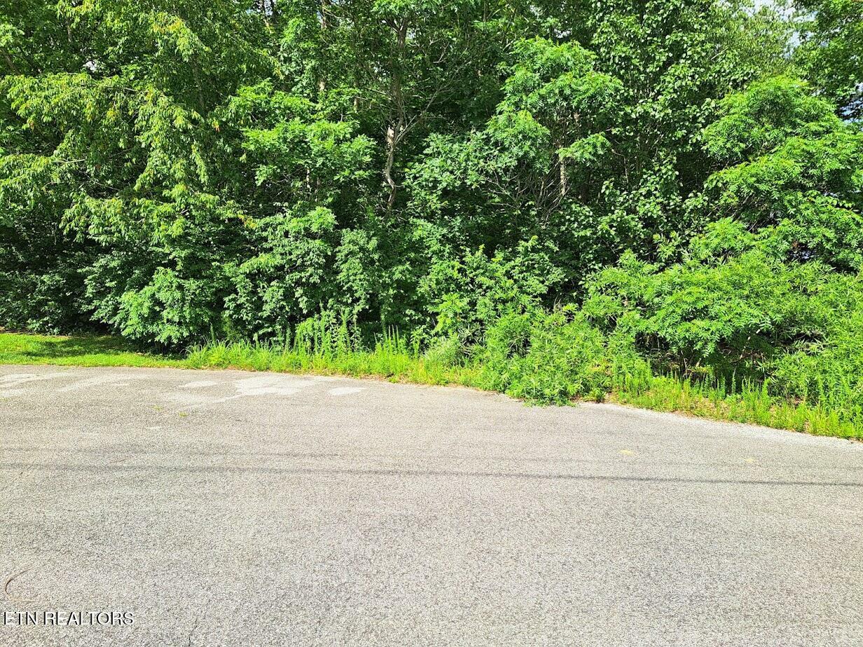 Property Photo: Bear Den - Lot 21 TN 38571