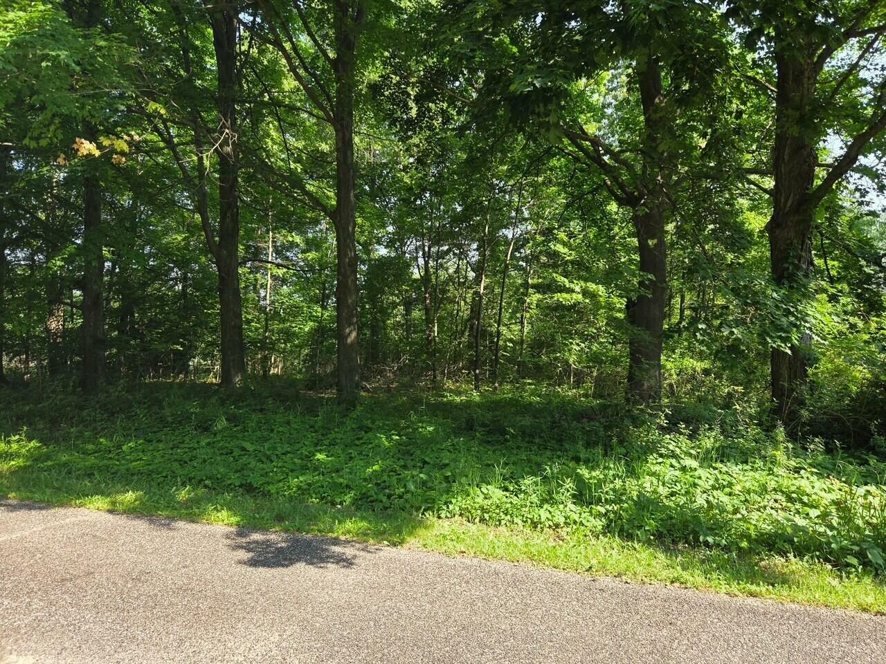 Property Photo:  1690 Ann Street  MI 49242 