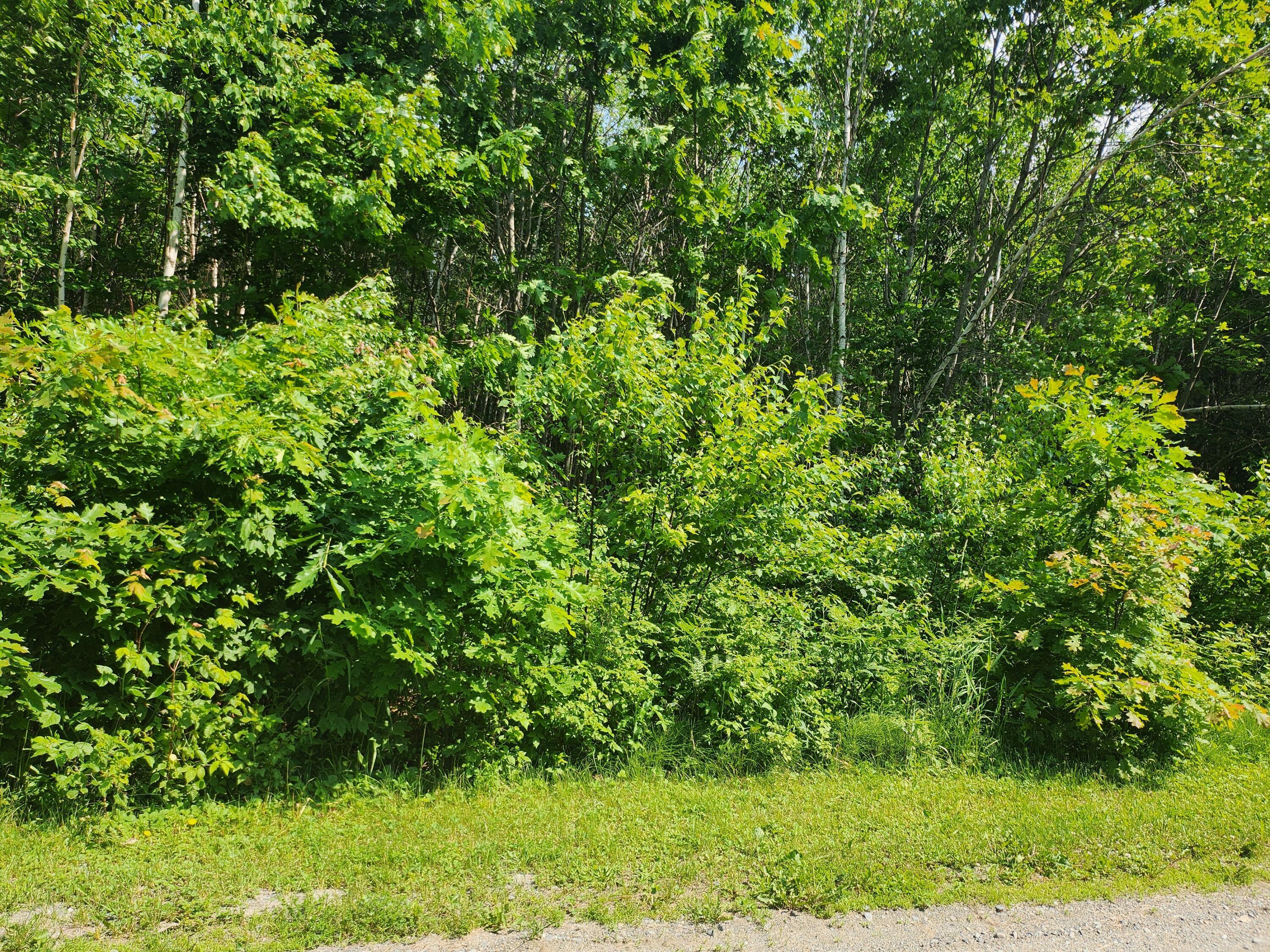 Property Photo: Lot 29B Windfall Lane ME 04965