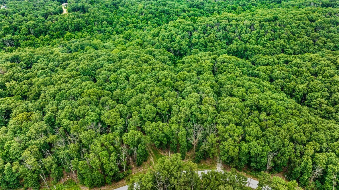 Property Photo: Lots 12 & 13 Kent Lane AR 72714