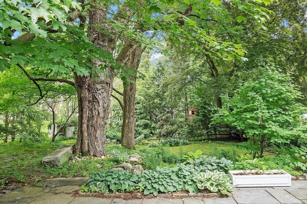 Property Photo:  14 Upland Road  MA 01810 
