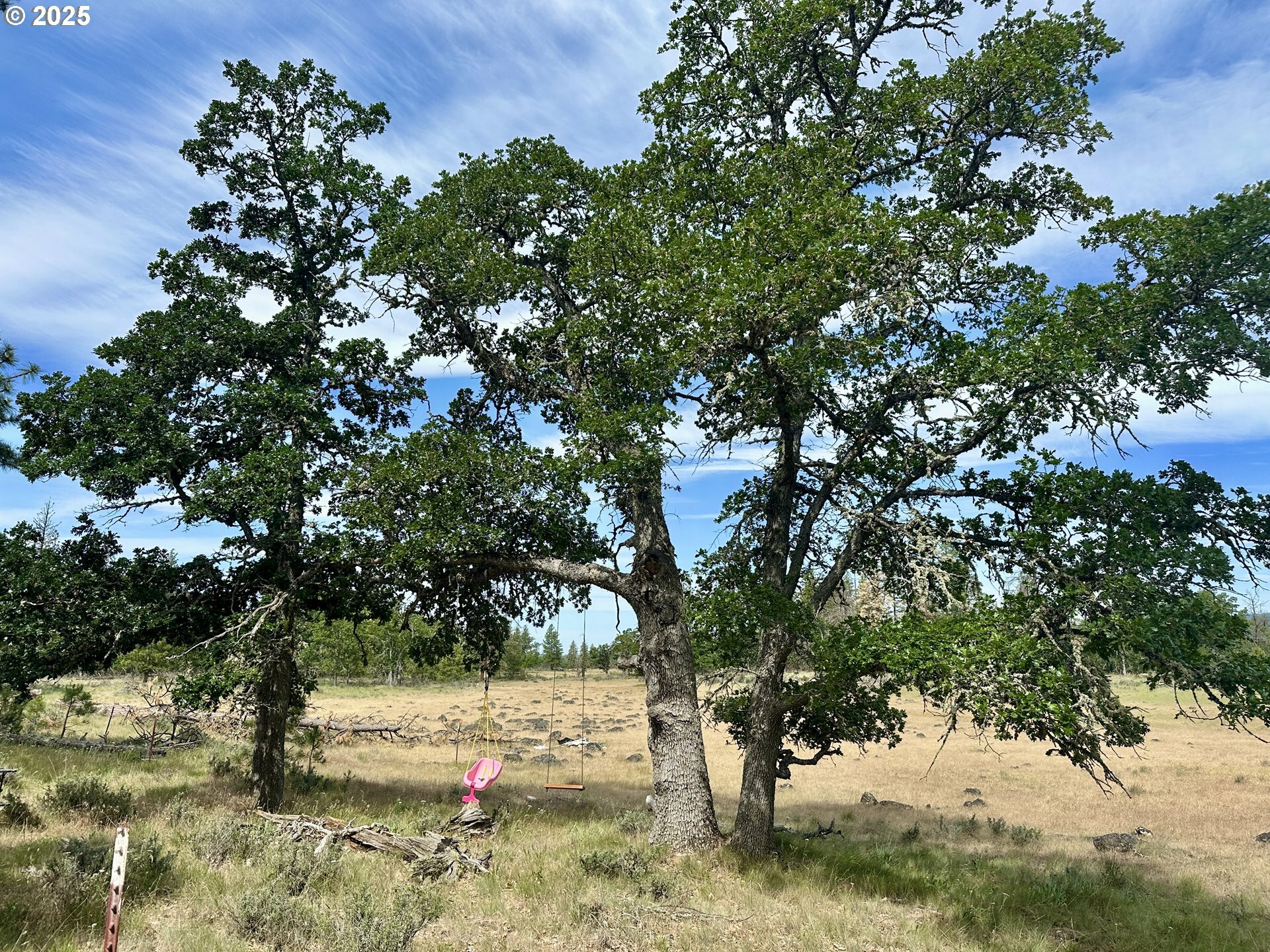 Property Photo: 56 Shiloh Way WA 98620